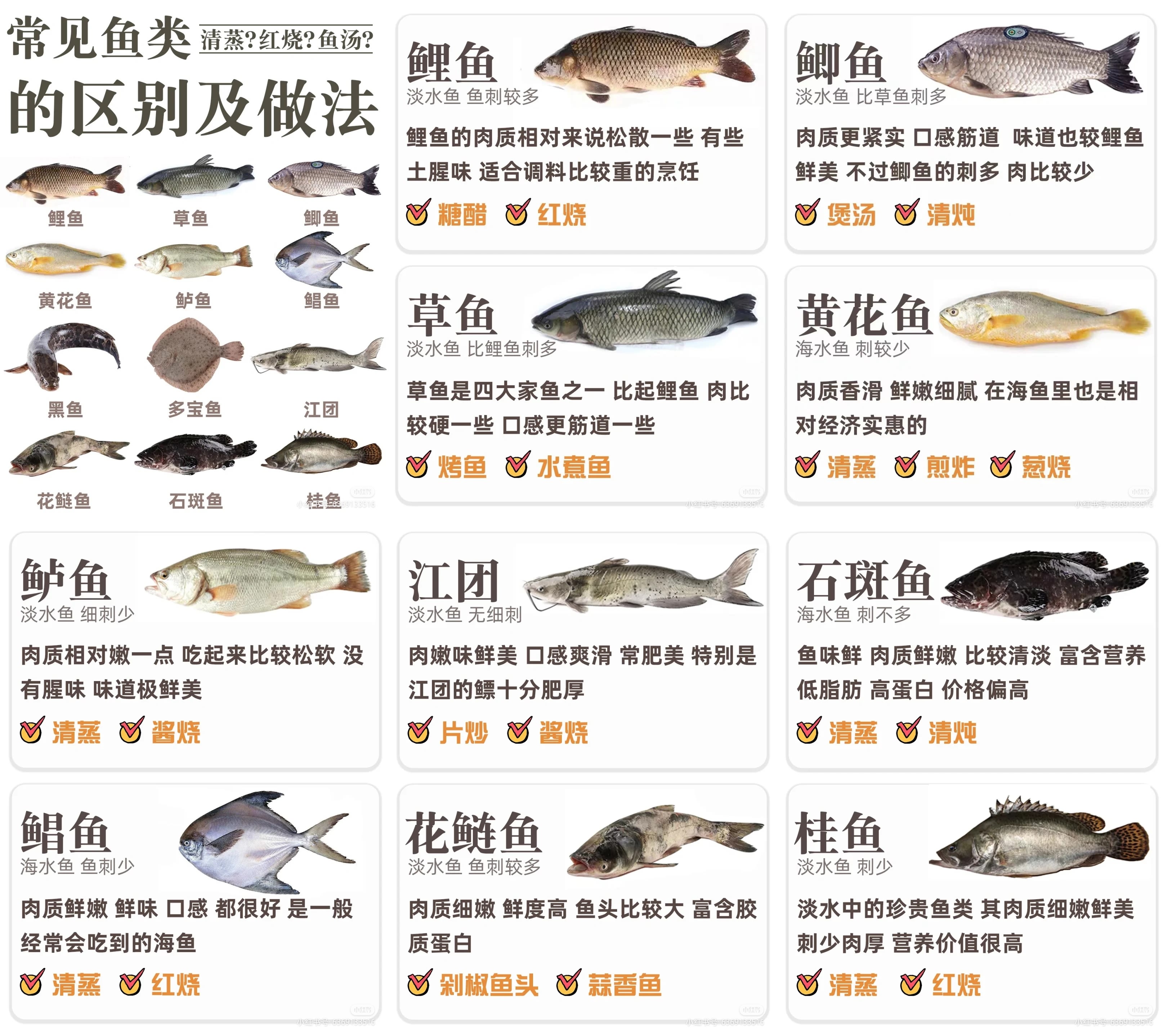 太湖鱼类名称和图片,太湖稀有鱼种,太湖所有的鱼类图片(第17页)_大山谷图库