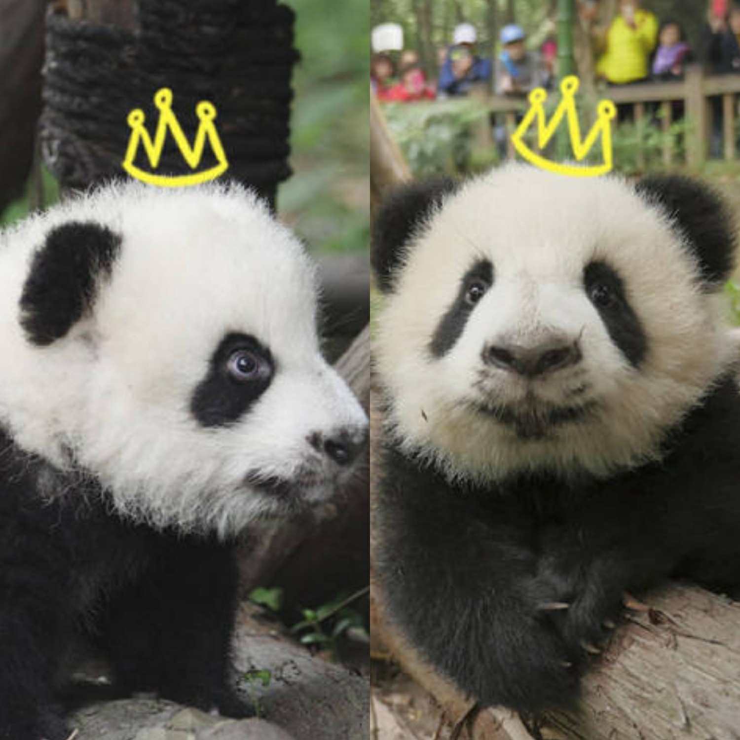 『千凯千』脑洞之高能（五）