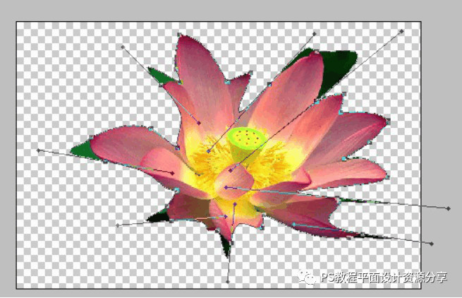 PS教程 PhotoShop矢量蒙版的应用实例教程