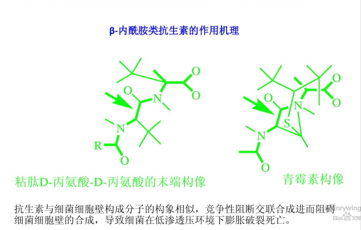 亚胺培南抗菌机制图片