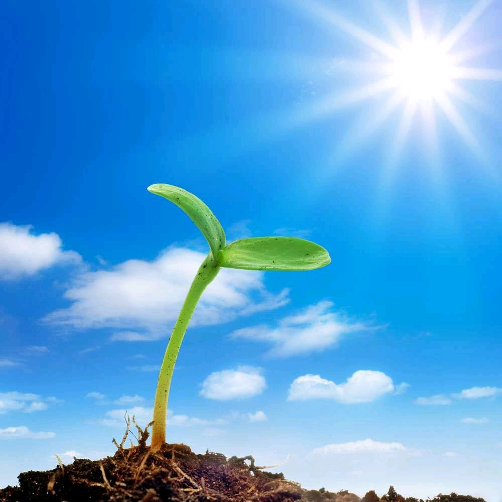 让阳光照进心灵之门