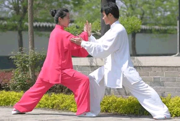 实际太极拳推手,是目前世界上最先进的站立压制技术(上)