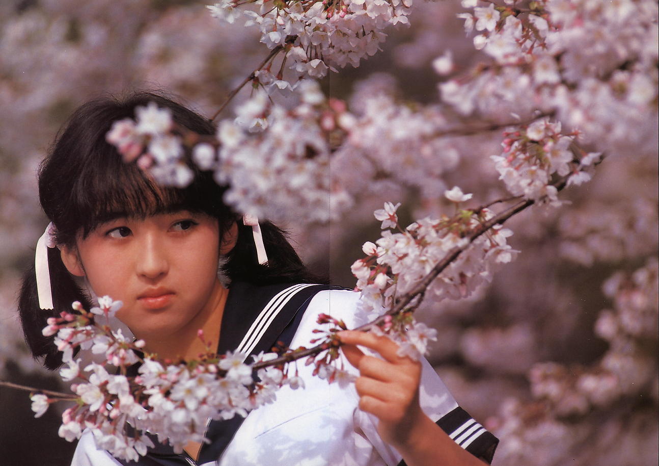 宝生桜子 哔哩哔哩