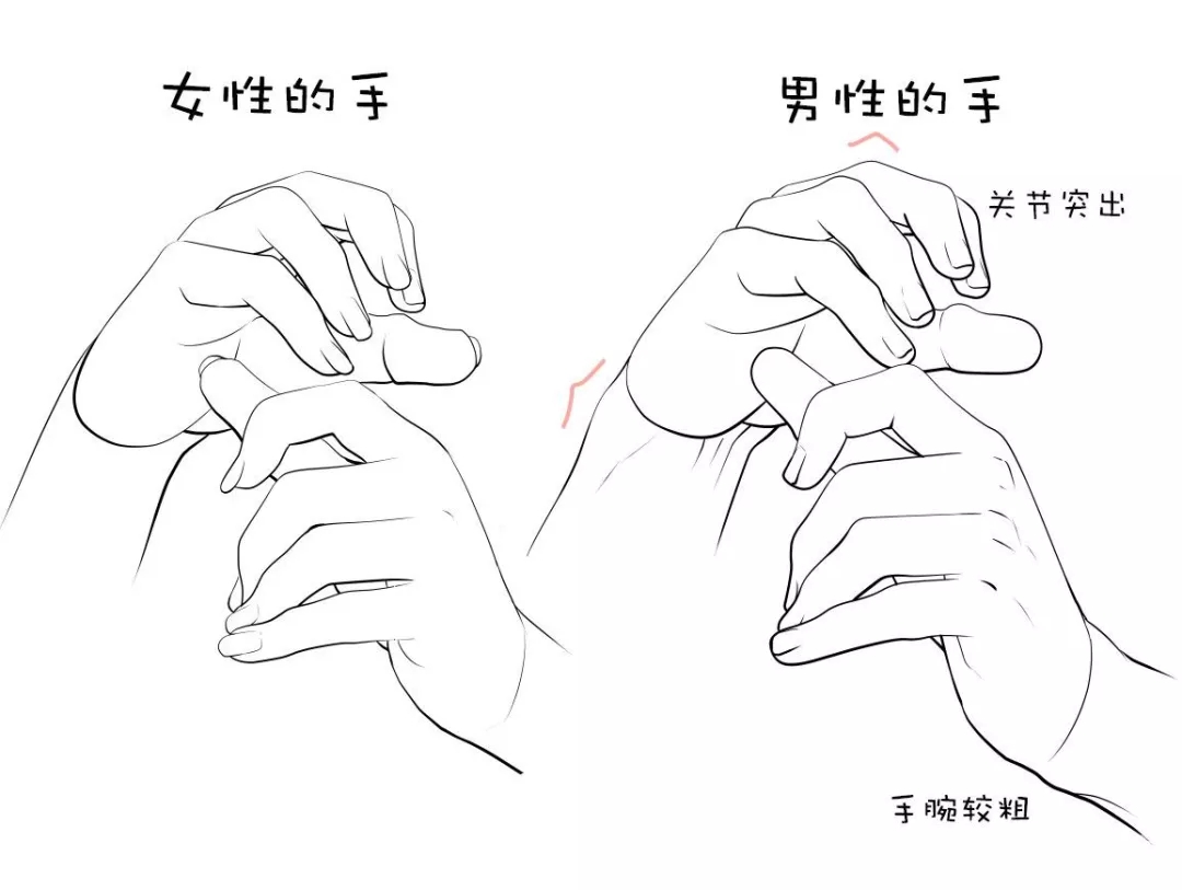 在通常情况下,男生的手一般比较大比较粗 女生的手相对来说比较小且细