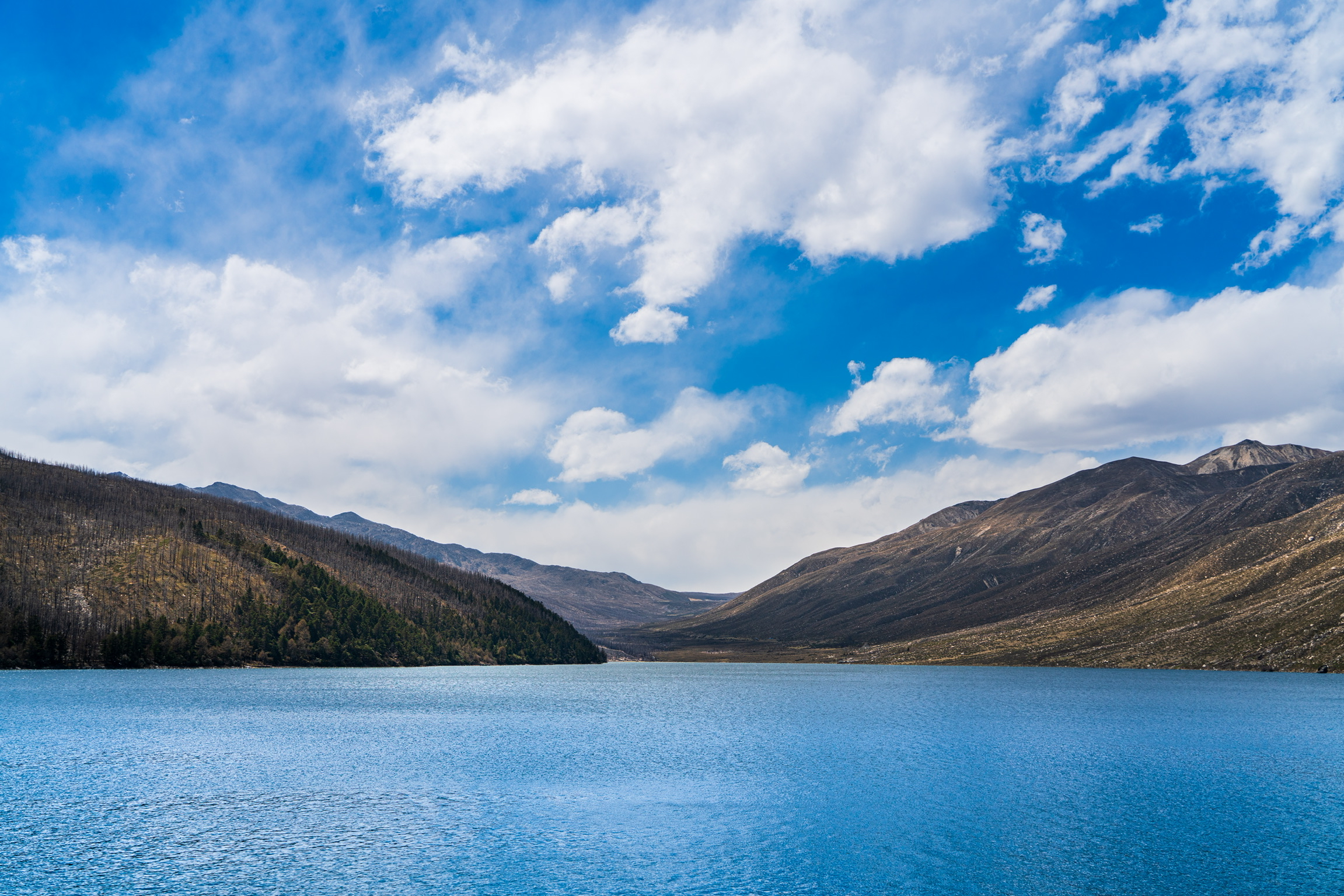 川西-稻城亚丁摄影 - 哔哩哔哩