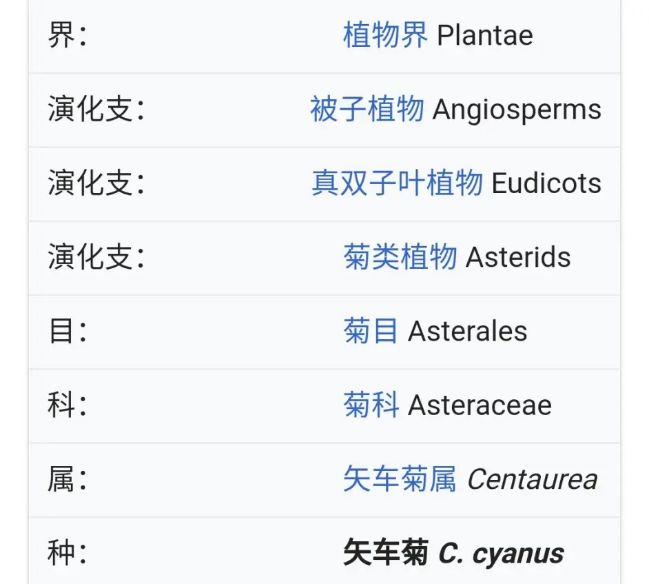 Minecraft植物盘点 矢车菊 哔哩哔哩