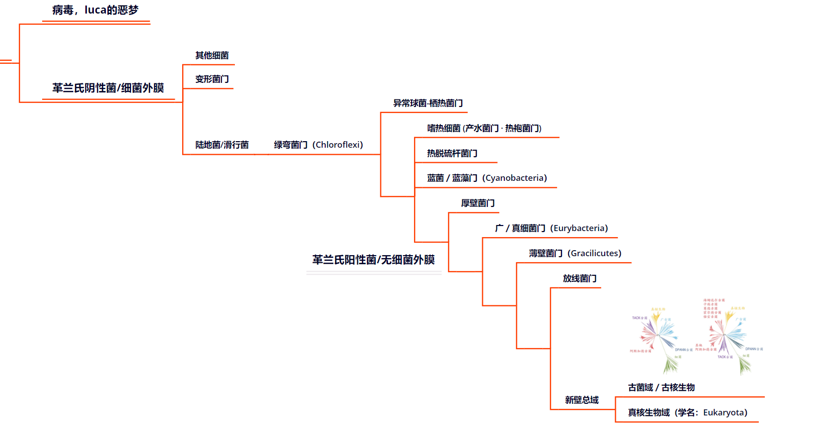支序分类的主要概念 - 哔哩哔哩