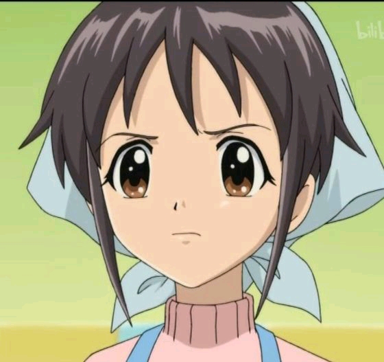 双恋——伊藤诚养成计划,十二翼大天使不败神话