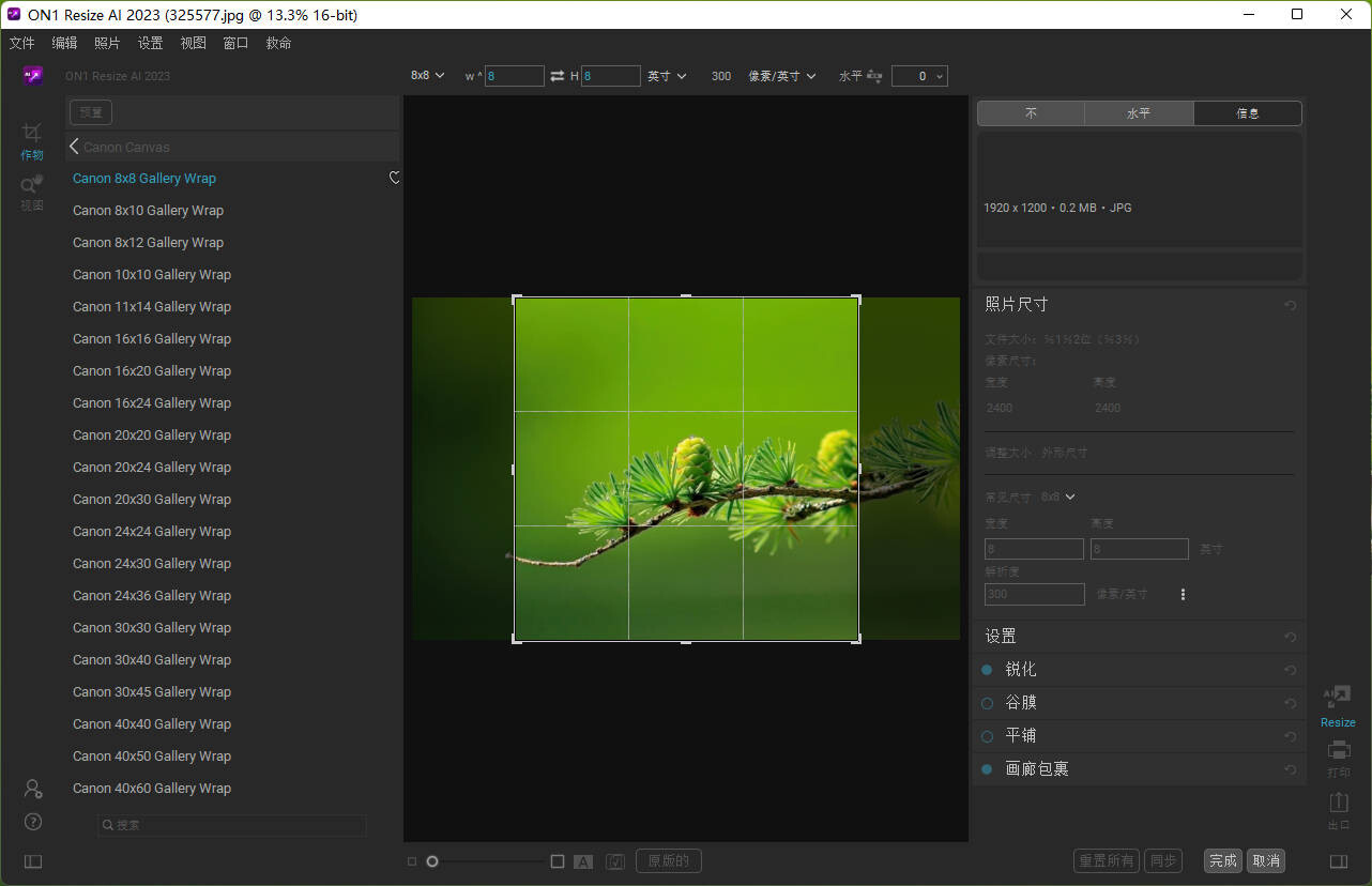 download on1 resize 2023.5 download on1 resize 2023.5
