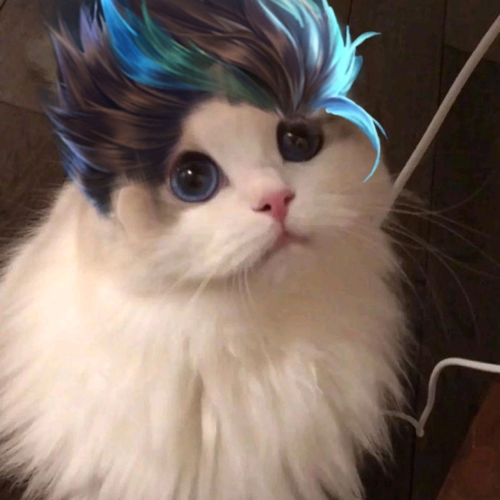 你们的狄仁杰喵头像来了