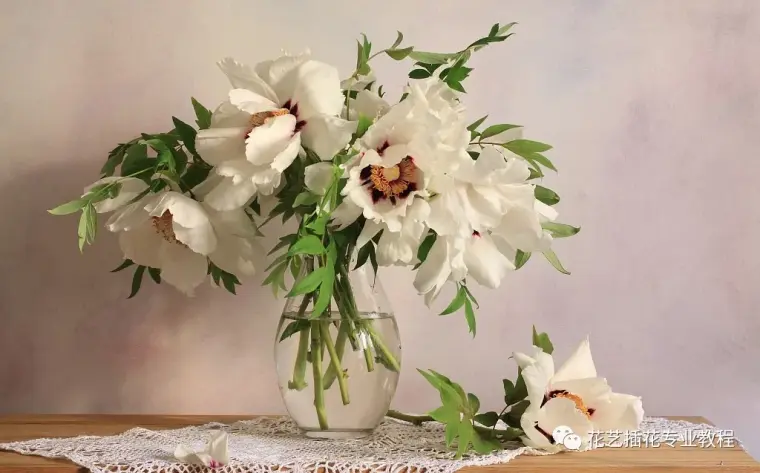 花艺学习 非常全面的鲜切花养护知识 哔哩哔哩