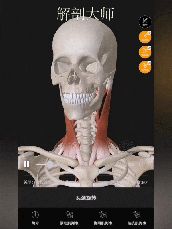 「分享」颈椎不舒服怎么办?有什么舒缓动作?