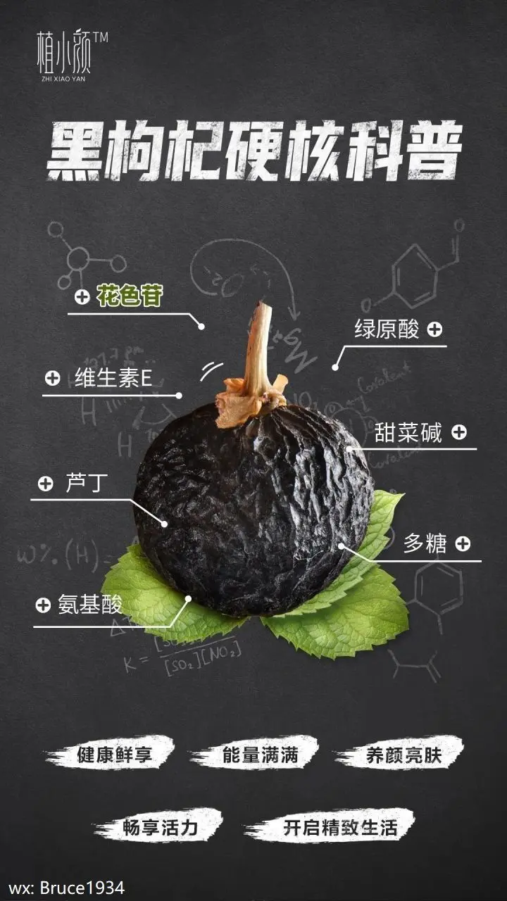 硬核科普 枸杞中的花色苷有什么药用价值 哔哩哔哩 硬核科普 枸杞中的花色苷有什么药用价值 哔哩哔哩