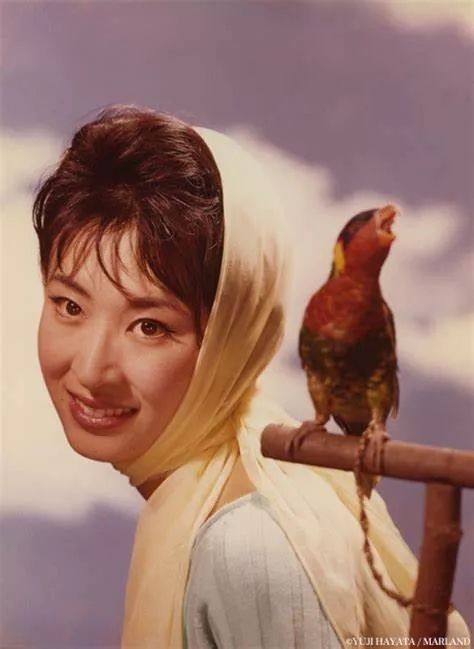 年轻时的三田佳子