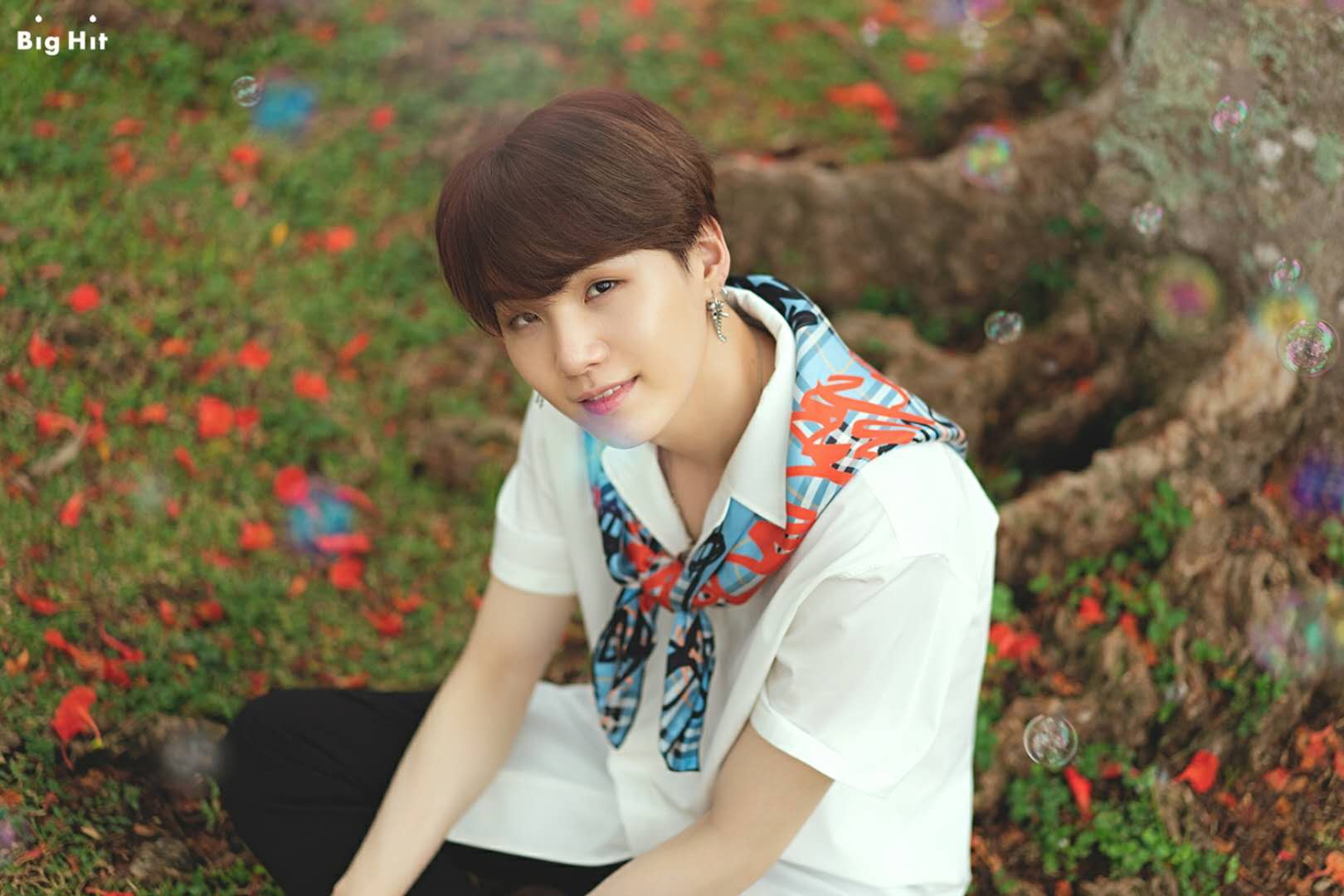 是你，刚好！后续 （关于求婚那点事！）