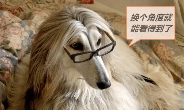 当你不把up主们当人看的时候 意外发现 哔哩哔哩