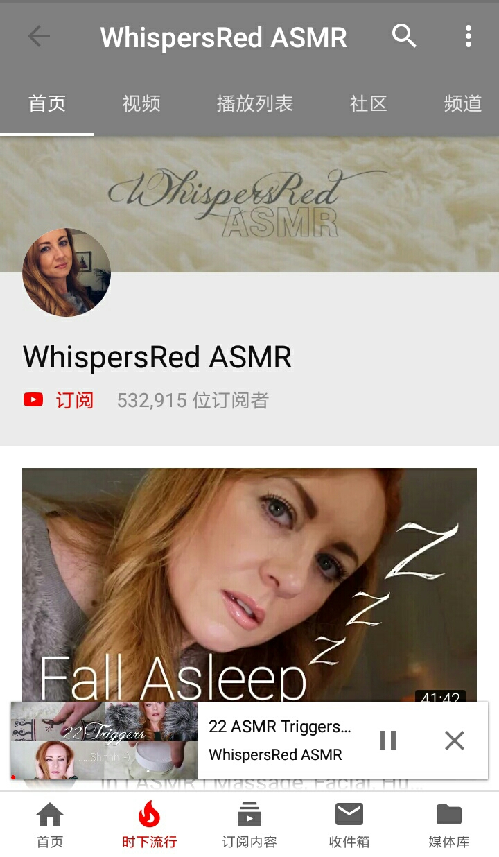 国外ASMR视频主(关注量的解析)(在B站比较知