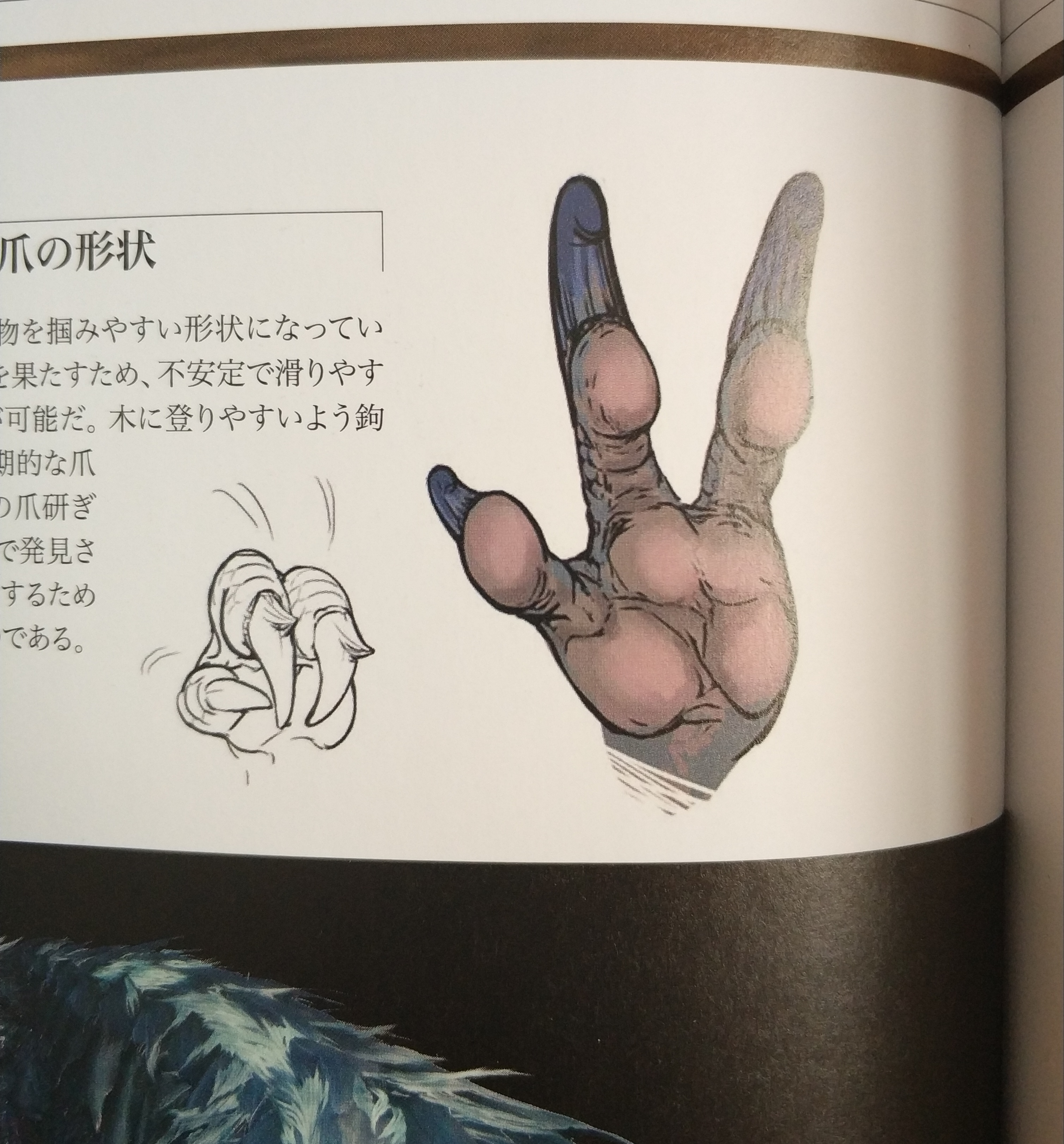 【怪猎生态学】飞雷龙:电力来源竟是摩擦生电?