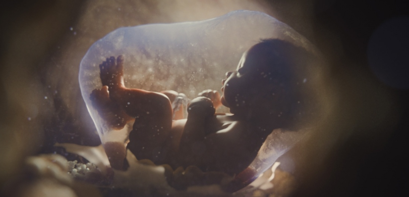 渲染加速器插件Redshift---C4D\/Maya\/Houdini\/3