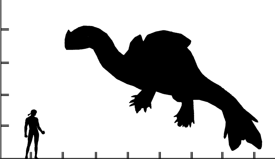 怪物猎人3怪物剪影比例图 哔哩哔哩