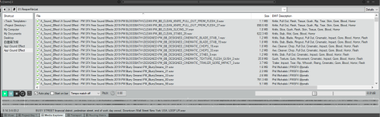 adsr sample manager analyzed