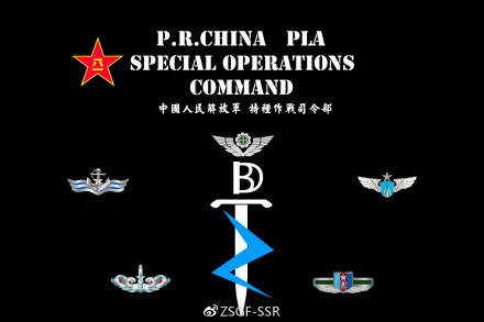 战术国防平台——PLA LRRP 境外战区纪实