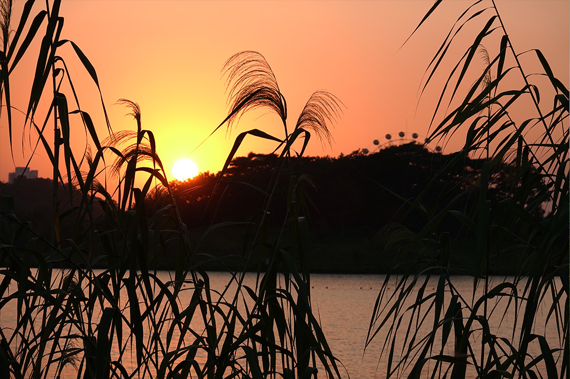 索尼黑卡6(RX100M6)深度入手评测:到底值不值