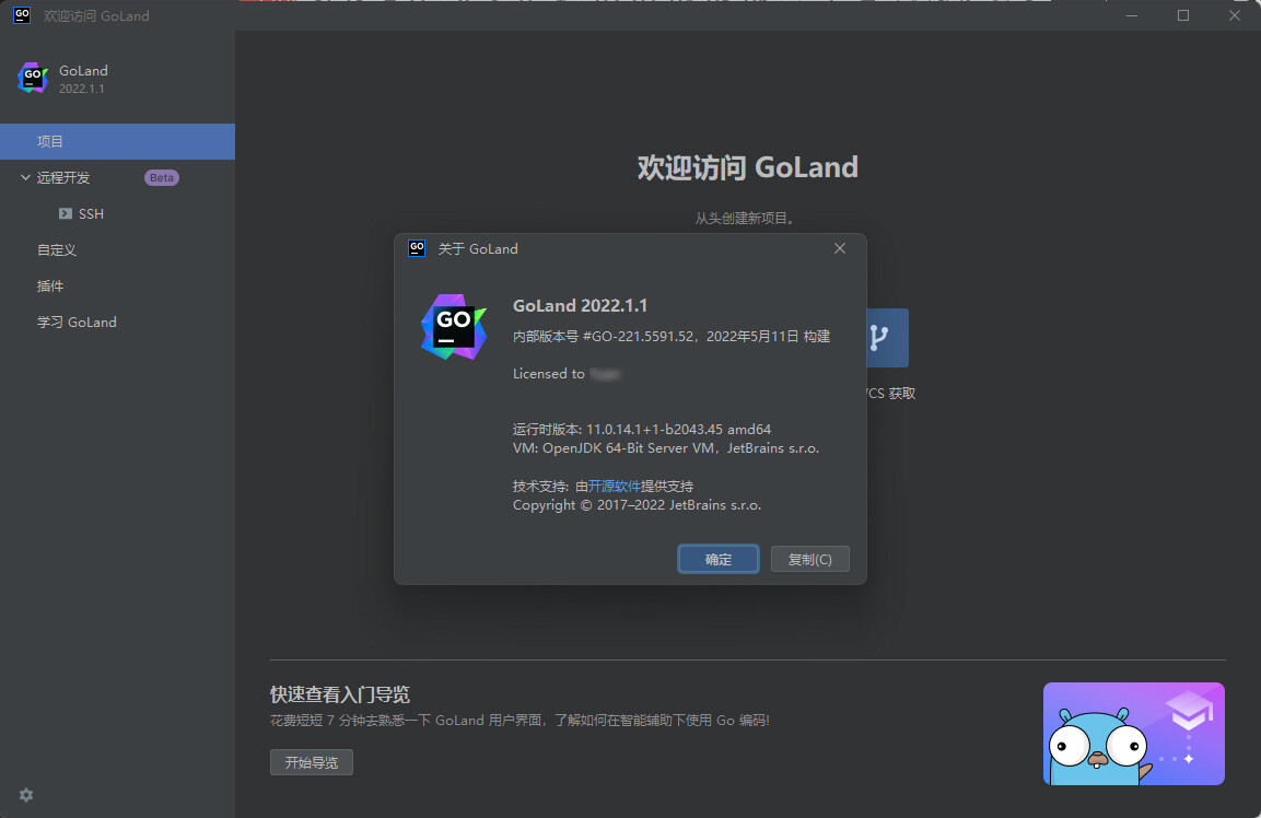 JetBrains GoLand 2023.1.3 for windows download