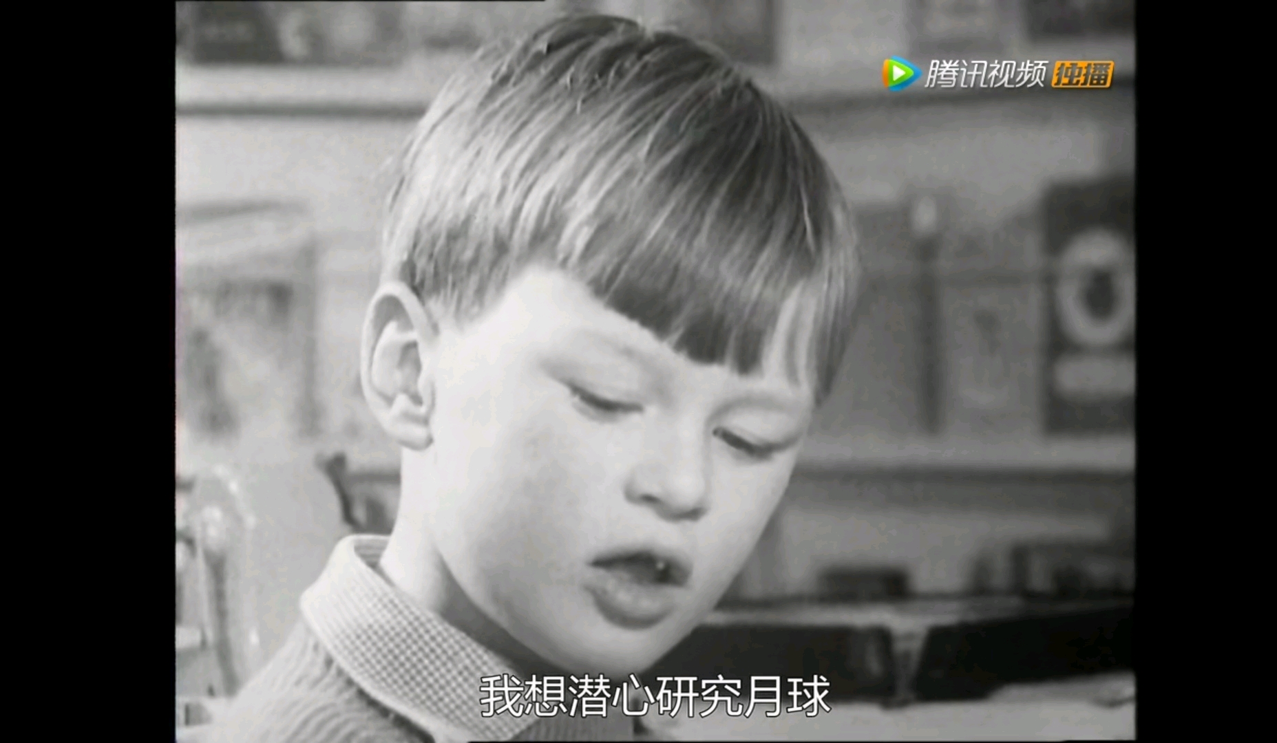 人生七年,我不敢二刷的影视作品