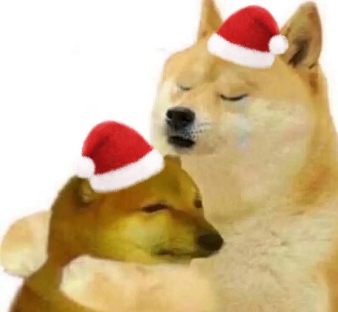 cheems/doge合集【2】|正常人用的表情包(含对比图) - 哔哩哔哩