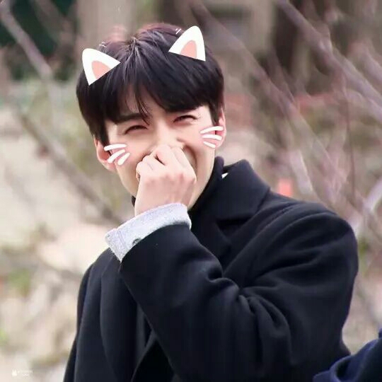 【EXO】快穿世界娱乐圈位面⑤(是宠妹狂魔啊