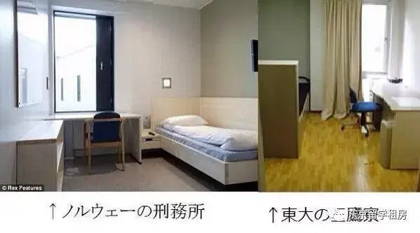 日本留学丨租房 还是住寮 一篇文章帮你彻底分析 哔哩哔哩