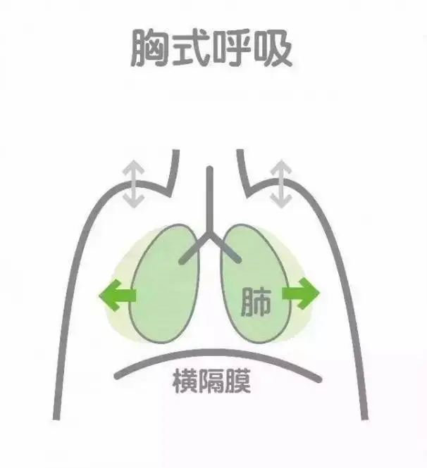 逆腹式呼吸吐纳方法吐纳36式洗髓易筋经吐纳呼吸法的正确方法 哔哩哔哩