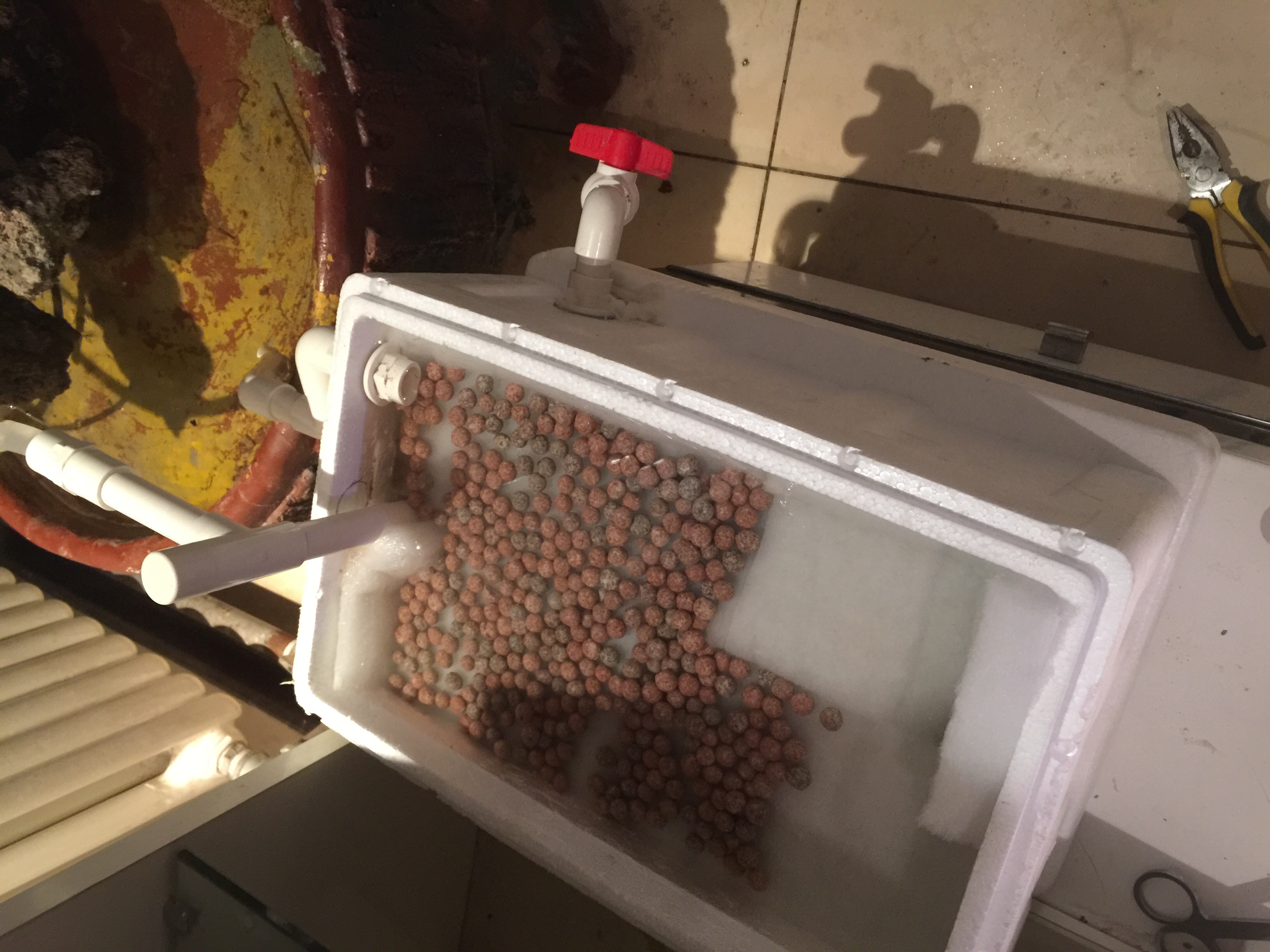 家中简易材料沼泽过滤