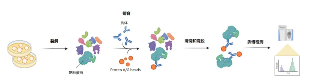蛋白互作组学系列丨（一）基于质谱的蛋白质相互作用研究方法盘点 - 哔哩哔哩