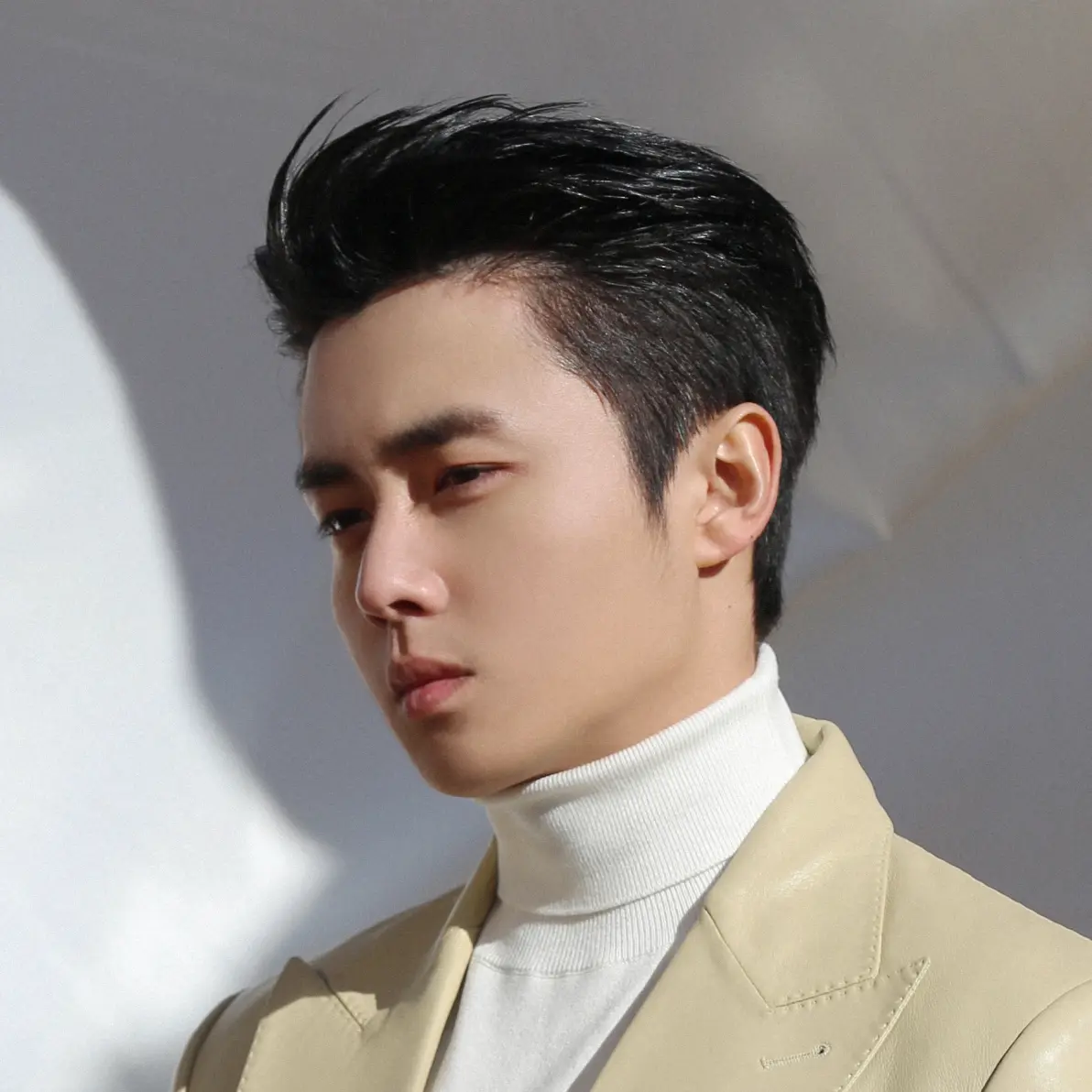 那些男明星的发型侧颜杀