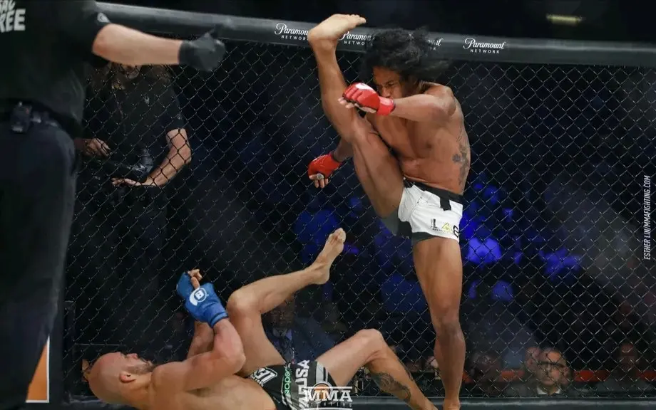 前ufc冠军 "牙签哥"本森·亨德森退役 - 哔哩哔哩