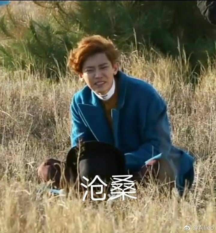 孤独,弱小,可怜,无助