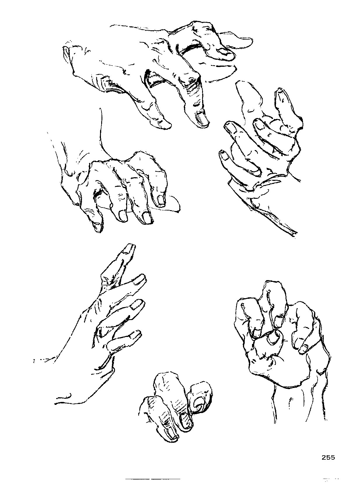 来跟仙儿菲一起研究"伯里曼"