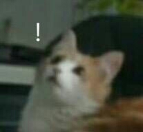 【恋与制作人】九、论周期洛如何哄老婆