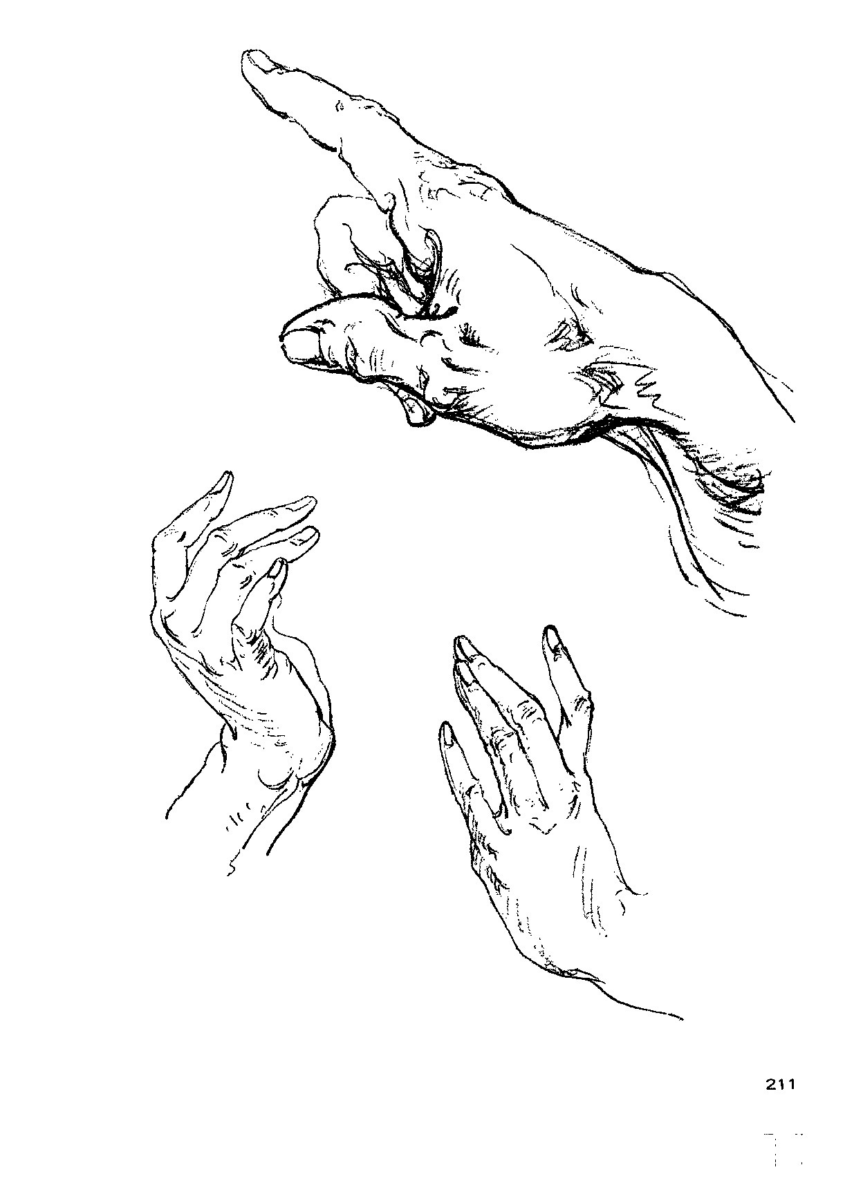 来跟仙儿菲一起研究"伯里曼"