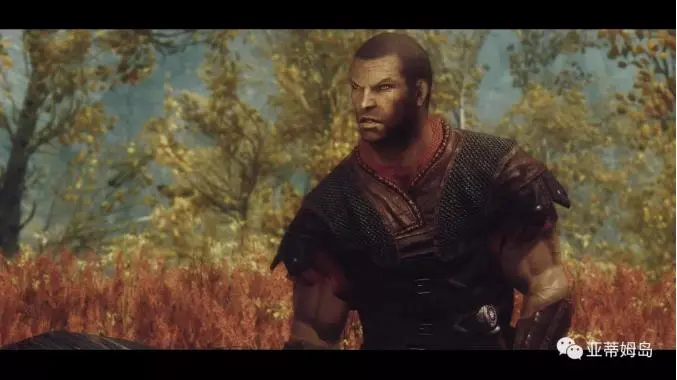 上古卷轴护甲和武器材质大收集 哔哩哔哩