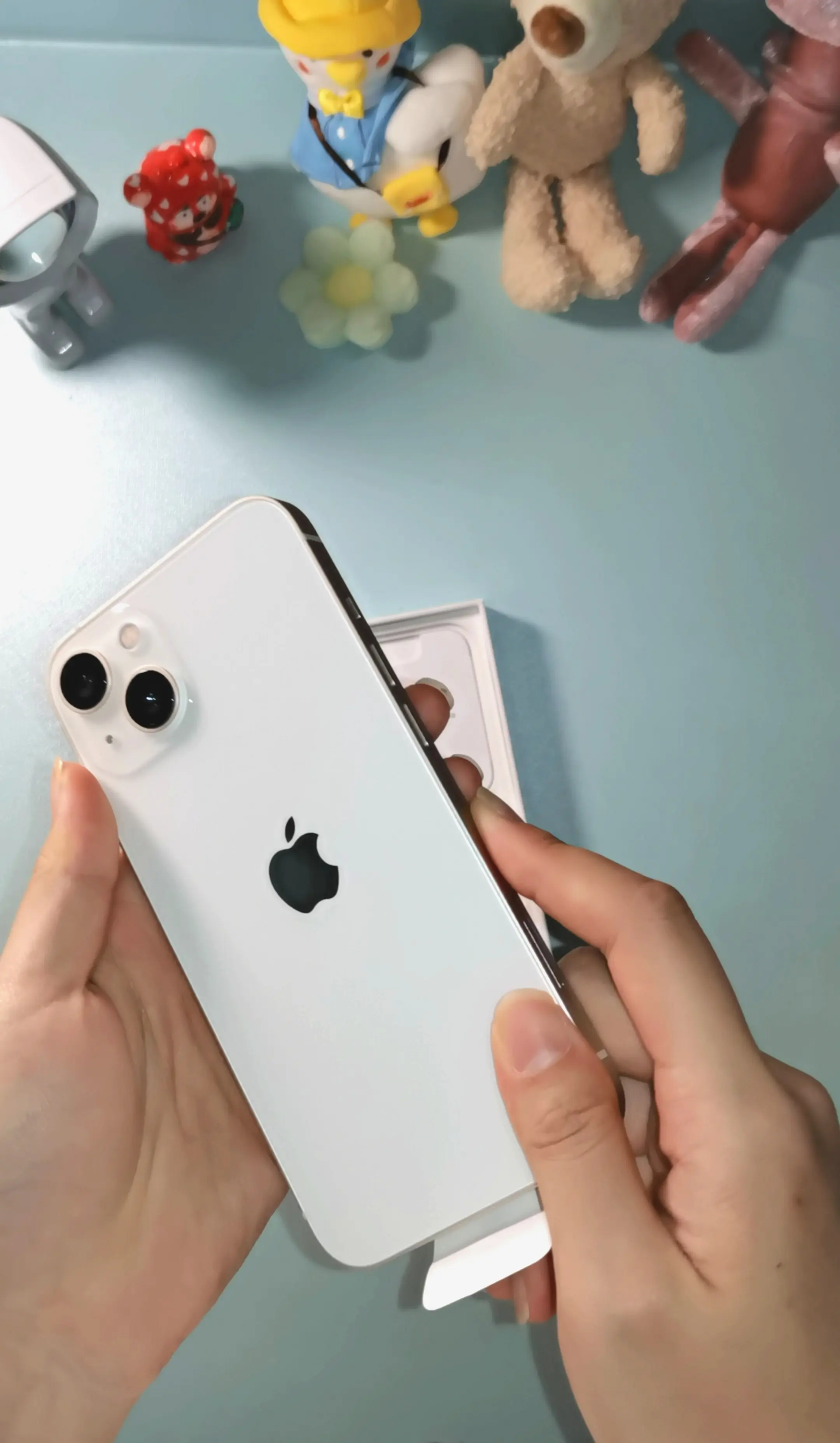 苹果十三香? - 哔哩哔哩