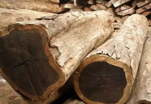 红铁木豆(小叶红檀)