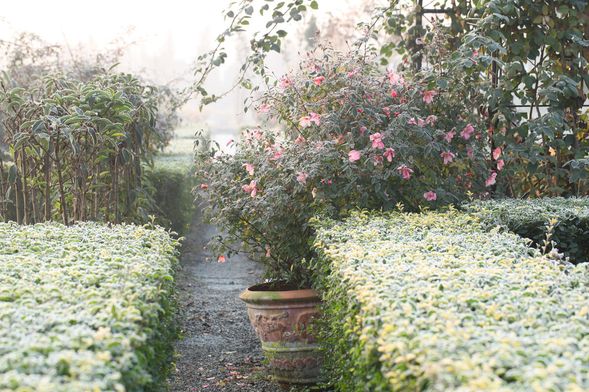 招聘信息发布文案_招聘信息发布_招聘信息