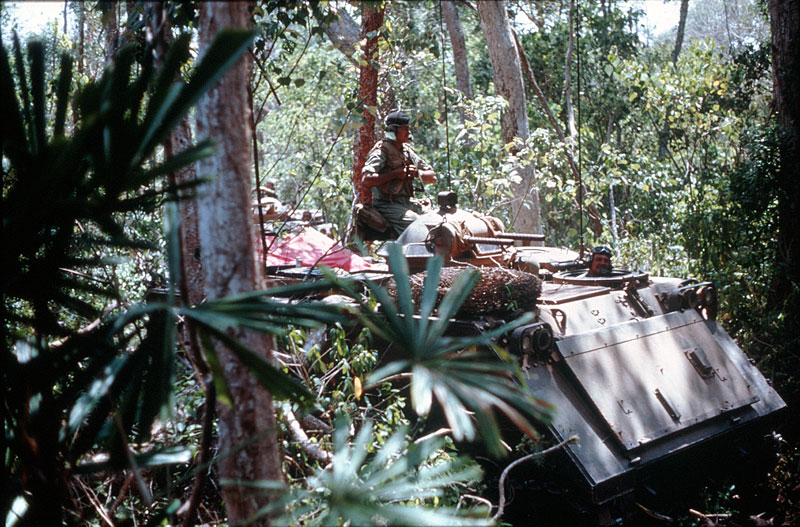 丛林中的安札克越战中的澳大利亚和新西兰军队图集