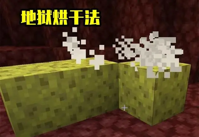 我的世界 海绵是mc早已 灭绝 的生物 聊聊海绵 你不知道的10件事 哔哩哔哩