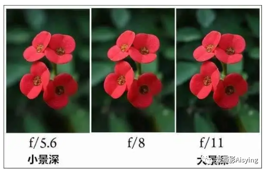 【Aisying爱摄影小课堂】一：什么是光圈？光圈的详解与应用 - 哔哩哔哩