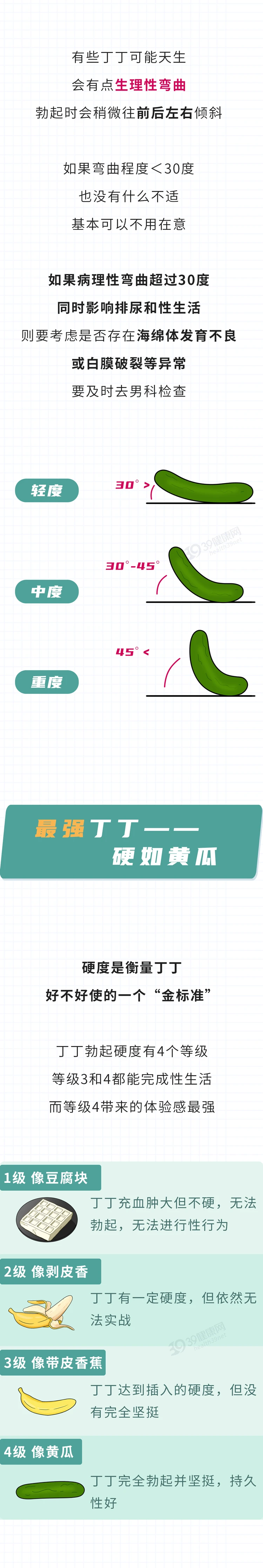 关于丁丁的6个私密知识2