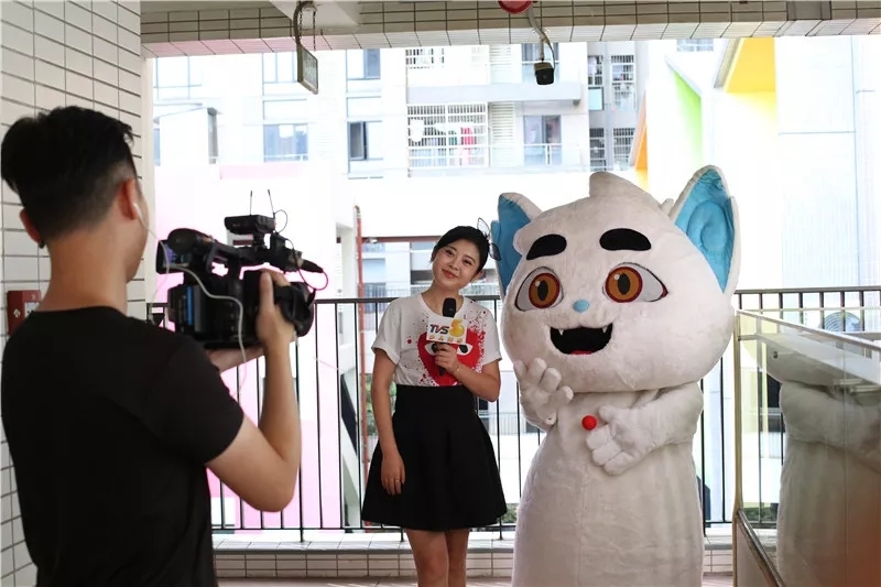 京剧猫三周年庆_2018京剧猫大事件盘点。